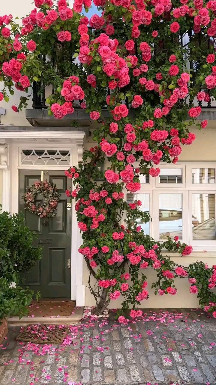 Transform Your Space into a Floral Paradise!